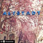 #Repost @finesbilder with @repostapp
・・・
#altstadt #bonn #schönerkitsch