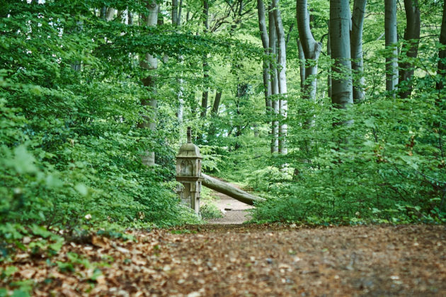 Der Bittweg von Königswinter auf den Petersberg