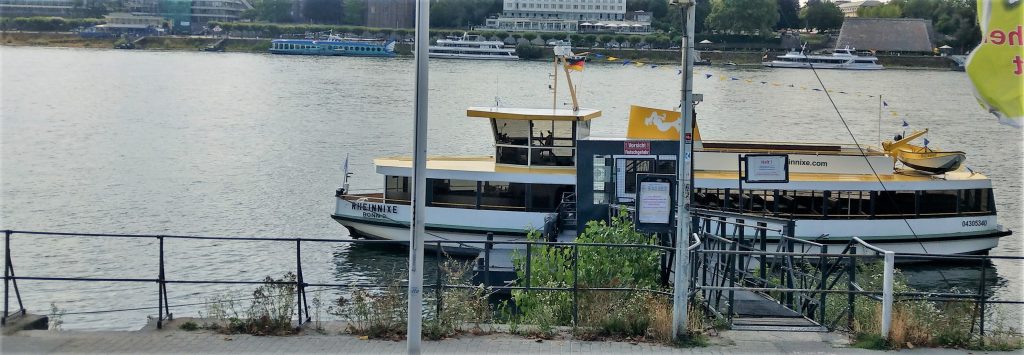 Rheinnixe am Ankerplatz Beueler Rheinufer