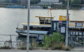 Rheinnixe am Ankerplatz Beueler Rheinufer