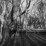 Wanderung Godesberg _5