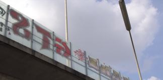 Ein Farbfoto der Vorlandbrücke der Bonner Nordbrücke respektive Friedrich-Ebert-Brücke. Man sieht die Bettonbrücke und darauf eine durchsichtige Absperrung bzw. Lärmschutzwand, welche mit Grafitti beschmiert ist.