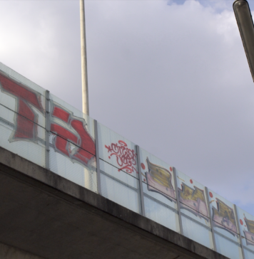 Ein Farbfoto der Vorlandbrücke der Bonner Nordbrücke respektive Friedrich-Ebert-Brücke. Man sieht die Bettonbrücke und darauf eine durchsichtige Absperrung bzw. Lärmschutzwand, welche mit Grafitti beschmiert ist.